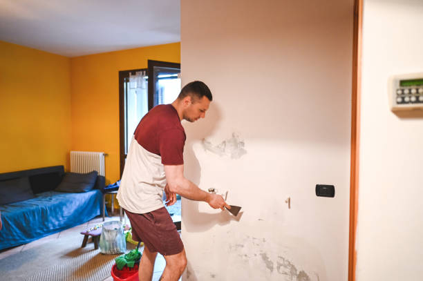 Attic Mold Removal in San Manuel, AZ